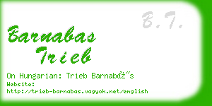 barnabas trieb business card